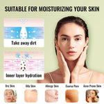 Portable Ionic Facial Steamer