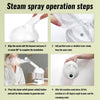 Portable Ionic Facial Steamer